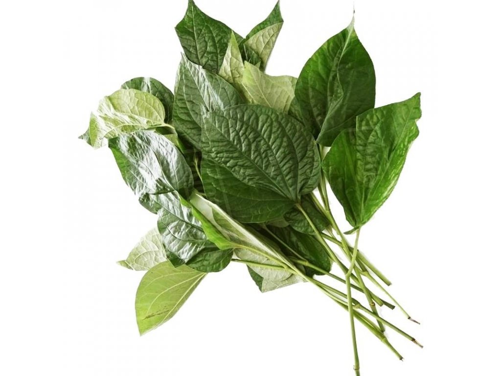 泰国 山蒌叶 100g/包 | TH Cha plu / Wild betel Leaf 100g/PKT