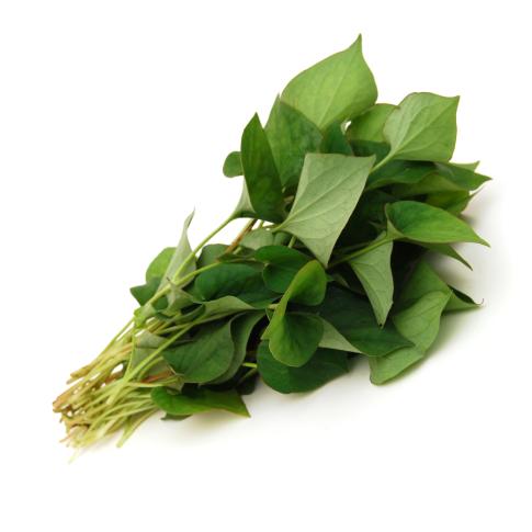 Houttuynia /Plu Kaow 100g /pkt | 新鲜 鱼腥草 100g/把