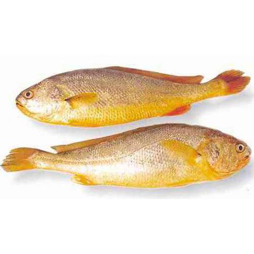 鼎鹿 大黄鱼 300/400 1kg/袋 | DingLu Yellow Crocker Fish 300/400 1kg