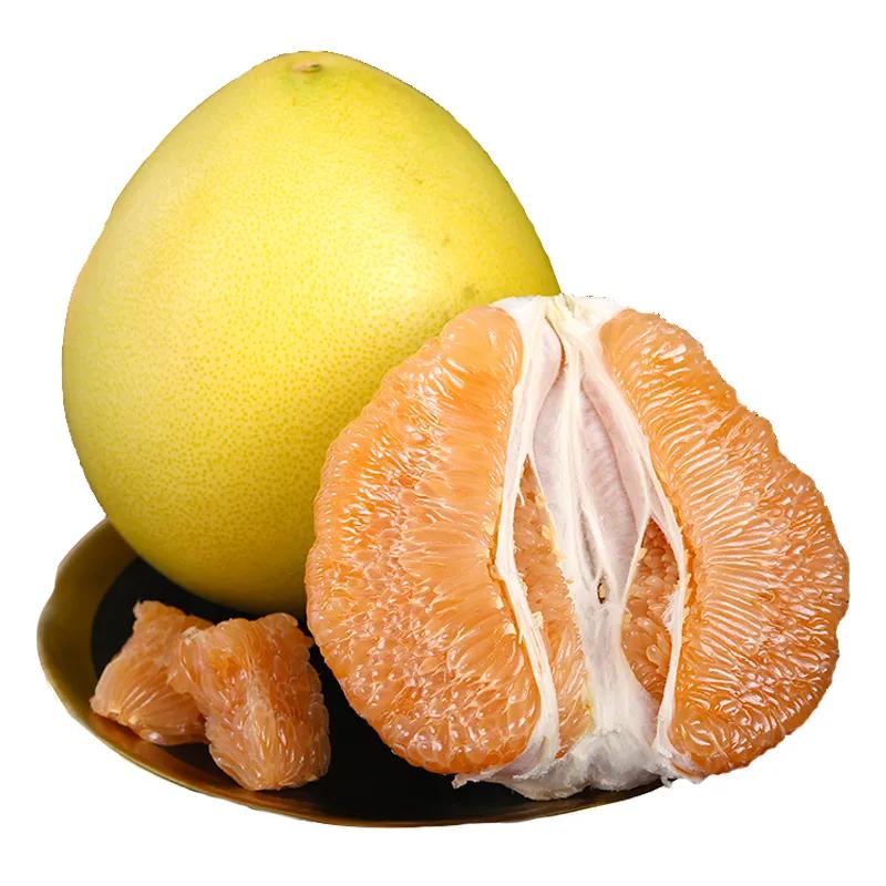 新鲜 黄金柚 1kg | Fresh Golden Pomelo 1kg
