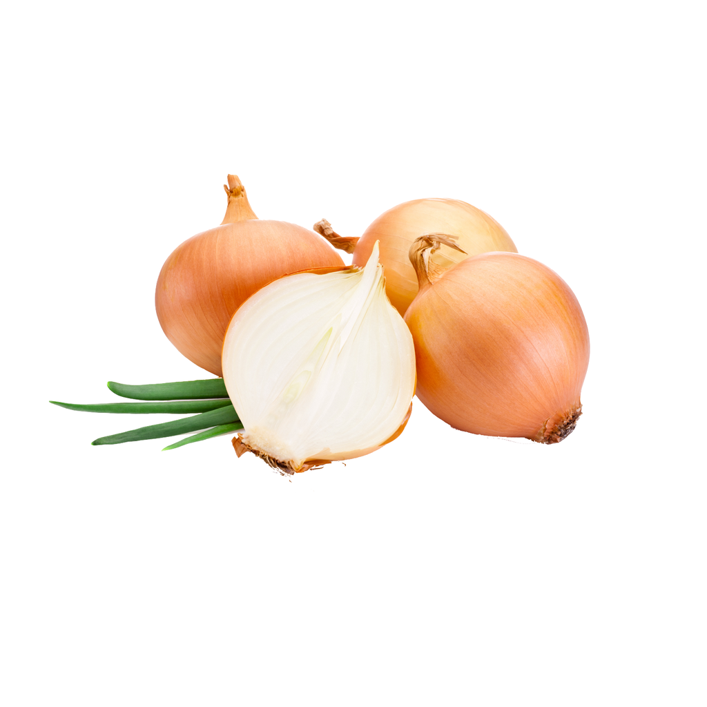 白洋葱 大号 整箱 10kg | Yellow Onion 10kg/ctn