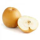 新高梨 1kg | Korean Pear 1kg