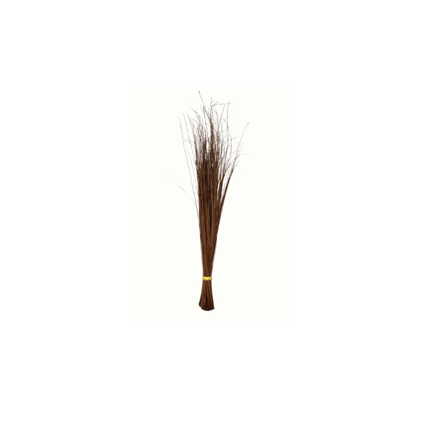 TINGTING牌 硬扫帚 /个 |  TINGTING Sweeping Broom Walls Tingting /pc