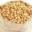  Soya Bean 1kg/PKT Self Pack |  Soya Bean 1kg/PKT Self Pack
