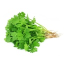 Fresh coriander / kg | 新鲜 香菜 (称重)