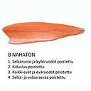 [81036] TUO 新鲜 三文鱼(C无皮无刺) 1kg | TUO Salmon C skinless without pinbone 1kg