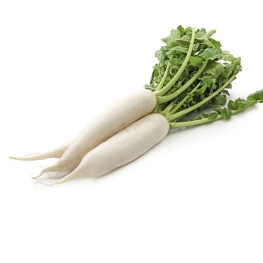 [10243] White radish / kg | 白萝卜 (称重)
