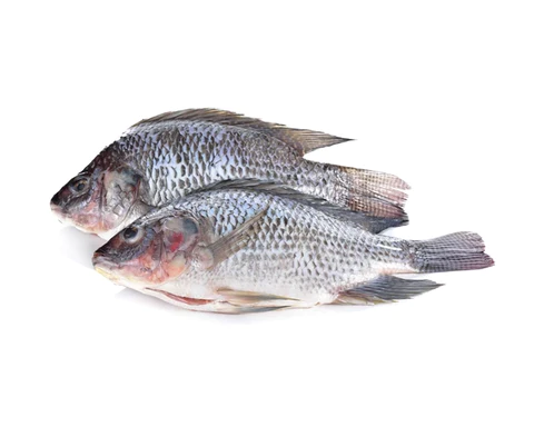 [80729] Black Tilapia G&S IWP 5/800 /kg Gross Weight | 黑色罗非鱼 /kg 含冰 毛重称重