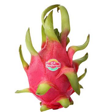 [10198] Dragon Fruit Red 1kg | 红心火龙果 1kg