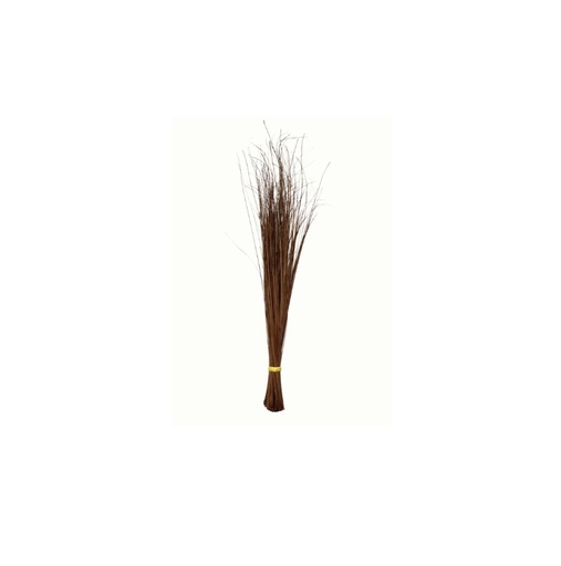[70853] TINGTING Sweeping Broom Walls Tingting /pc | TINGTING牌 硬扫帚 /个