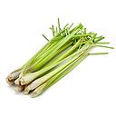 Lemon grass (whole) 1kg | 新鲜 香茅 (整条) 1kg