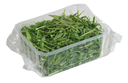 Discount Rucola  125G | 促销 芝麻菜 125g 