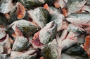 [10087] Salmon Heads And Bones/Lohi Pää ja Ruotu